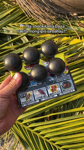 Effective Cockroach Control Tips