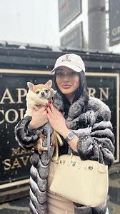 CHINCHILLA FURS WORN BY GIRLS AND DOGS