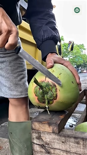 Why Are Some Coconuts Pink Inside? 🥥🌸 They’re Thai pink coconuts, rich in polyphenols – perfectly healthy! #FoodFacts #HealthyLiving #ThaiCoconut #NatureSecrets | GoSaq