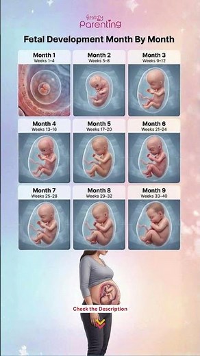 Fetal Development Month By Month | Fetus Growth #babygrowth #fetusgrowth #Baby #Pregnancy