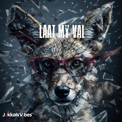 Discover the Unique Vibes of Jakkals Music