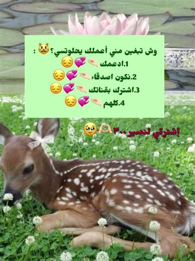 تفاعلوا💞💞💞😔 #فيرونا #بدون_موسيقى #fypシ #fyp