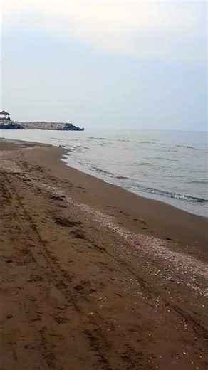 #seasounds #relaxing #sea #seagulls #beach