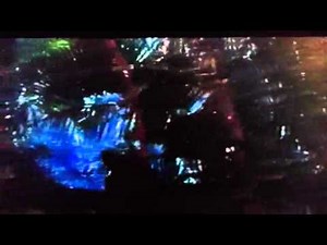 Predator-Mac & The Pig