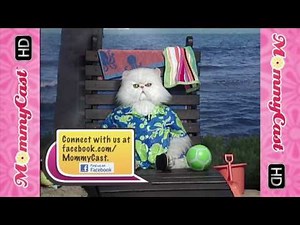 A Conversation with Mr. Tinkles