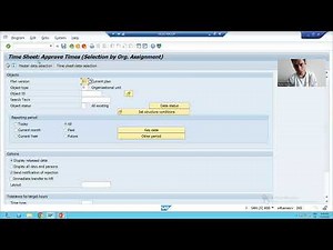 17 - Enhancements & Modifications - Customer Exit - Menu Exit Part3