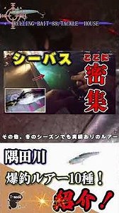 [Lure Review] Catch Big for Beginners! Top 10 Lures for the Sumida River! #SumidaRiver #Seabass #...