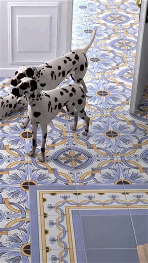 DomuS3D: bring Your rendered images to life!