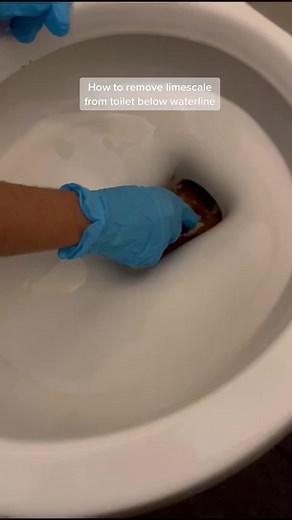 #limescale #toilet #bathroom #deepclean #cleaningtips #cleaningmotivation #cleantok #cleaningtiktok #cleanes #boston #ma