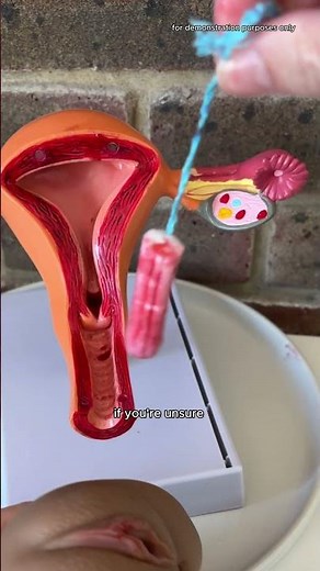 Can You Lose A Tampon Inside Of You?
