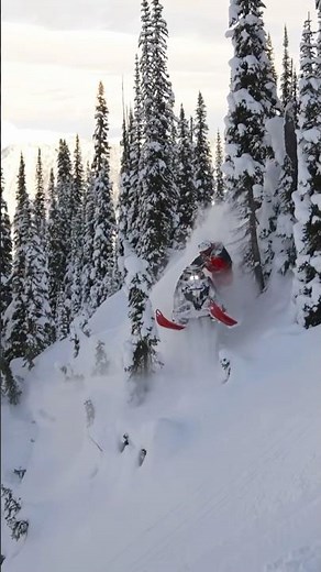 Rally all day everyday 🤘 #polaris #snow #winter #sledding #snowmobile