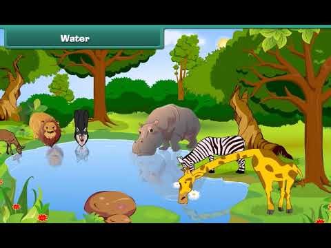 Our Earth 🌍 | Class 2 EVS (English) | Kids Learning