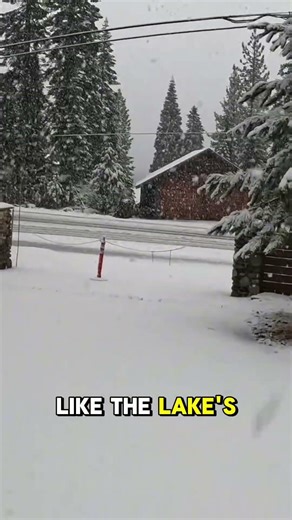 First Time Experiencing Snow…❄️😮