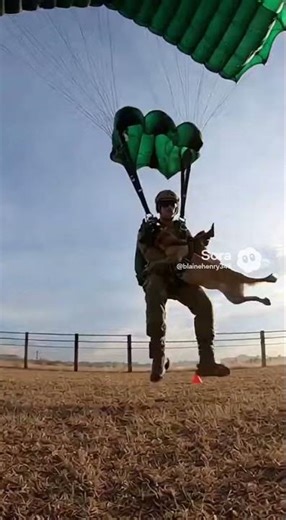 🪂 Police K-9 Skydiving Takedown