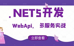 2021录制.NET5WebApi单体架构，Swagger配置，多服务实例，Nginx集群负载均衡nginx故障转移，故障恢复，nginx反向代理 B0462