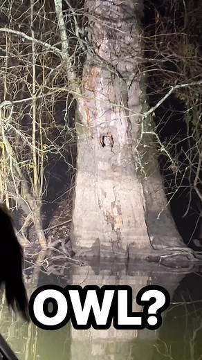 How cool is this | Southern Mud Sports