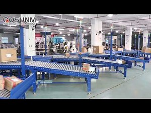 Warehouse Logistics Parcel Sorting System