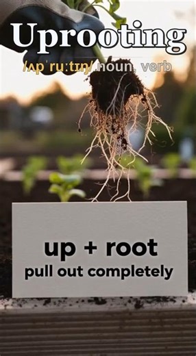 Uprooting meaning — Forcing something out completely, leaving damage behind