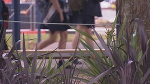 In the first 10 months of last year 677 New Zealand children – aged under 16 – were caught with weapons. Most of the weapons were sharp instruments like knives, but some were found carrying guns. | Seven Sharp