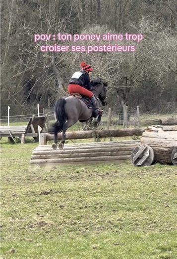 Poney drôle croisant postérieurs - Pour toi #FYP