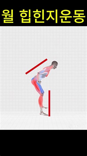 Monthly hip hinge exercise (disc, stenosis) #shorts #rangeofmotion
