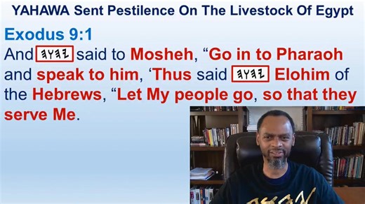 Yahuah Is Elohiym Of Hebrew Israelites His Chosen People - Exodus 9:1-4 | Hebrew Israelite Seed of Abraham Tribe of Judah Disciple of Christ