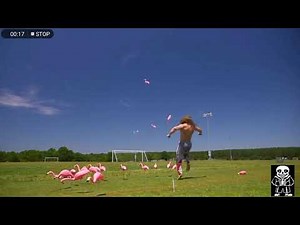 I Know What Men Can Do When They're Angry (Flamingo)