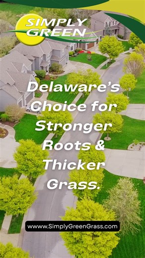 Fall is the time to prep for that lush spring lawn!  Aeration, seeding, fertilization & more — we’ve got your checklist covered ✅  (302) 256-0829 | simplygreengrass.com #SimplyGreenLawnCare #FallLawnCare #KeepItSimple | Simply Green Lawn Care | Facebook