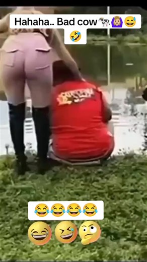 581K views · 3.8K reactions | Crazy cow.. ‍♀️藍 #funnyanimals #goviralreels #goviral #foryou #fypシ゚ #funnypost | A & G family tv | Facebook