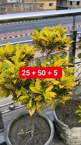 10K views · 198 reactions | Basic Math Test Solution | M Mathematics | Facebook