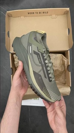 Nike Pegasus Trail 4 Goretex | Best trail running shoes