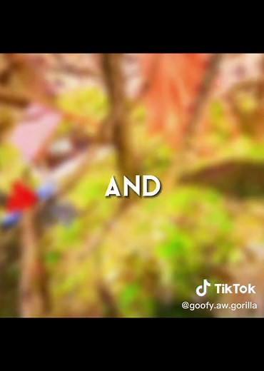 ⚡️ Goofy with Rizz ⚡️ on TikTok