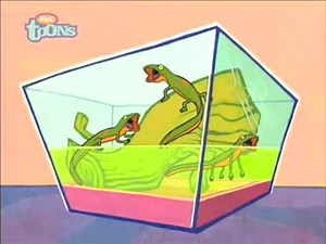 Catscratch_HQ