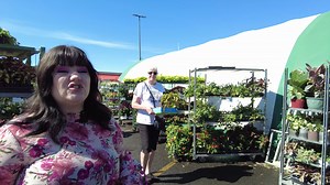 1.5K views | Tomorrow is the FINAL DAY to cash in your Bloomers Bucks! Stop by Bloomers Nursery in the Rosaures parking lot to stock up on all of your plant needs before they close for the season. | Dailyfly News | Facebook