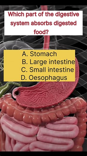 Life Processes MCQ Class 10 🔥 | NCERT Science Chapter 5 | CBSE Board Exam