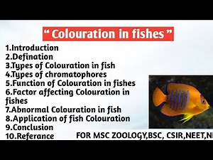 Colouration in fishes | Types of colouration | Types of chromatophores | Function | Factor affecting
