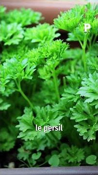 Les aliments diurétiques aident-ils vraiment à perdre du poids ? La chronique nutrition