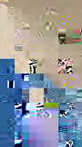 1.8K views · 30 reactions | There's no better way to spend summer vacation than with a trip to the Downtown Aquarium! ☀️ | Downtown Aquarium - Houston | Facebook