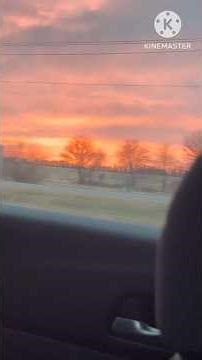 A random trip to the farm