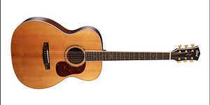 Cort Guitars Announces the Gold-O8
