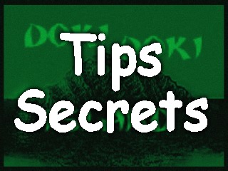 Tips and Secrets: Level 1 tutorial