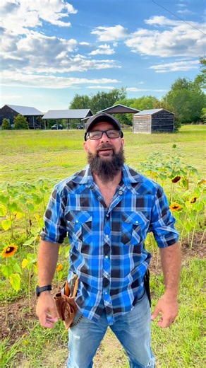 16K views · 499 reactions | The Hori Hori Knife https://amzn.to/3XN8EWn | Greenhorn Grove | Facebook