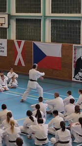 7.8K views · 216 reactions | JKA KATA Chinte By - okuma sensei - | Дайя Каратэ | Facebook