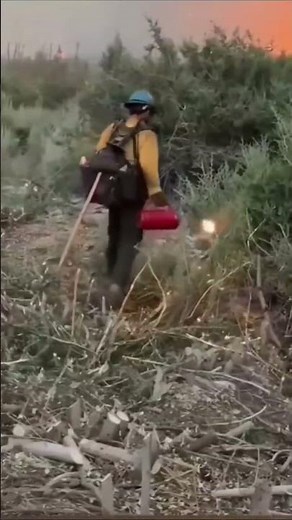 Fighting Wildfire with controlled Fires | An effective way to save properties and lives