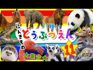 【子供向け どうぶつアニメ】動物園へ行こう！part11☆どうぶつえんで人気の動物が21種類も大集合！ライオン ゾウ パンダ｜動く動物図鑑で動物の名前を覚えよう◎ 【子供が喜ぶ 動物の知育動画】