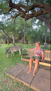 161K views · 2.2K reactions | The Royal Livingstone Hotel, Zambia...