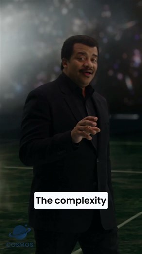 The Neocortex – Our Oldest Evolutionary Gift 🐭🧬