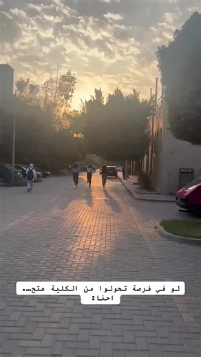 Exploring Architecture at Ain Shams University