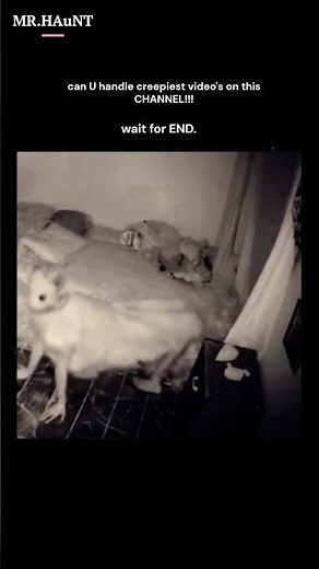 I Tried Ghost Walking Upside Down and Here's What Happened