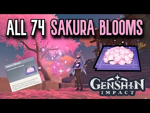 ALL 74 Sakura Bloom Locations | Complete Guide & Efficient Route | Genshin Impact Inazuma